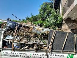 Best Recycling Services for Junk  in Grand Ledge, MI